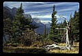 04450-00131-Montana National Parks.jpg