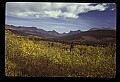 04450-00154-Montana National Parks.jpg