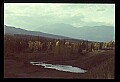 04450-00161-Montana National Parks.jpg