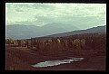 04450-00162-Montana National Parks.jpg