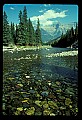 04450-00240-Montana National Parks.jpg
