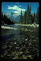 04450-00242-Montana National Parks.jpg
