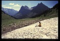 04450-00354-Montana National Parks.jpg