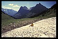 04450-00356-Montana National Parks.jpg