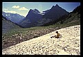 04450-00390-Montana National Parks.jpg