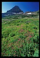 04450-00411-Montana National Parks.jpg