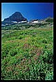 04450-00440-Montana National Parks.jpg