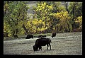 04301-00046-South Dakota State Parks.jpg