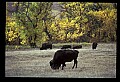 04301-00047-South Dakota State Parks.jpg