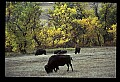 04301-00048-South Dakota State Parks.jpg