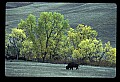 04301-00050-South Dakota State Parks.jpg