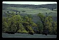 04301-00100-South Dakota State Parks.jpg