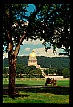 02006-00280-West Virginia State Capitol Complex.jpg