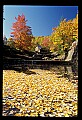 02100-00097-Babcock State Park, WV, Glade Creek Grist Mill.jpg