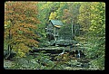 02100-00188-Babcock State Park, WV, Glade Creek Grist Mill.jpg