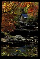 02100-00339-Babcock State Park, WV, Glade Creek Grist Mill.jpg