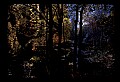 02100-00505-Babcock State Park, WV, Glade Creek Grist Mill.jpg