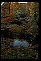 02100-00635-Babcock State Park, WV, Glade Creek Grist Mill.jpg