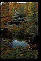 02100-00637-Babcock State Park, WV, Glade Creek Grist Mill.jpg