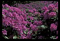 02105-00016-Grandview State Park.jpg