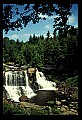 02112-00028 Blackwater Falls State Park.jpg