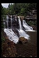 02112-00056 Blackwater Falls State Park.jpg