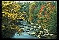 02112-00126-Blackwater Falls State Park.jpg