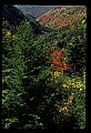 02112-00128-Blackwater Falls State Park.jpg