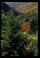 02112-00129-Blackwater Falls State Park.jpg