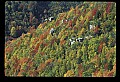 02112-00135-Blackwater Falls State Park.jpg