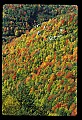 02112-00139-Blackwater Falls State Park.jpg