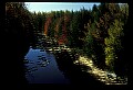 02112-00140-Blackwater Falls State Park.jpg