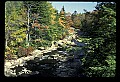 02112-00142-Blackwater Falls State Park.jpg
