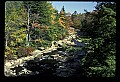 02112-00143-Blackwater Falls State Park.jpg