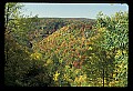 02112-00145-Blackwater Falls State Park.jpg