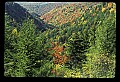 02112-00150-Blackwater Falls State Park.jpg