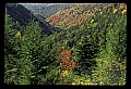 02112-00152-Blackwater Falls State Park.jpg