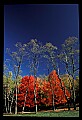 02112-00159-Blackwater Falls State Park.jpg