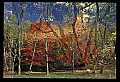 02112-00166-Blackwater Falls State Park.jpg