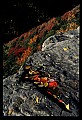 02112-00179-Blackwater Falls State Park.jpg