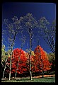 02112-00206-Blackwater Falls State Park.jpg
