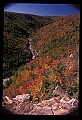 02112-00228-Blackwater Falls State Park.jpg