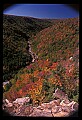 02112-00229-Blackwater Falls State Park.jpg