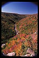 02112-00233-Blackwater Falls State Park.jpg