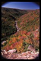 02112-00243-Blackwater Falls State Park.jpg