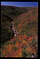 02112-00245-Blackwater Falls State Park.jpg