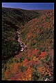 02112-00247-Blackwater Falls State Park.jpg