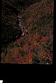 02112-00249-Blackwater Falls State Park.jpg