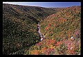 02112-00256-Blackwater Falls State Park.jpg