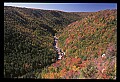 02112-00257-Blackwater Falls State Park.jpg